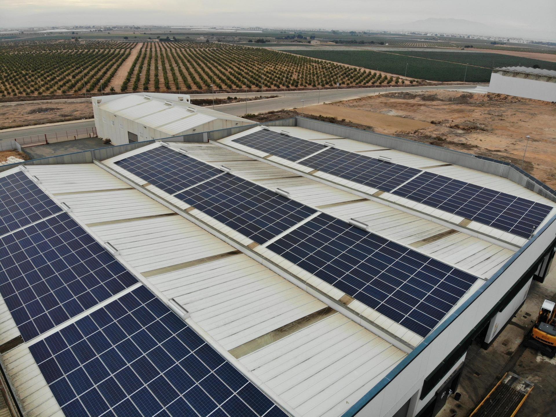 paneles solares