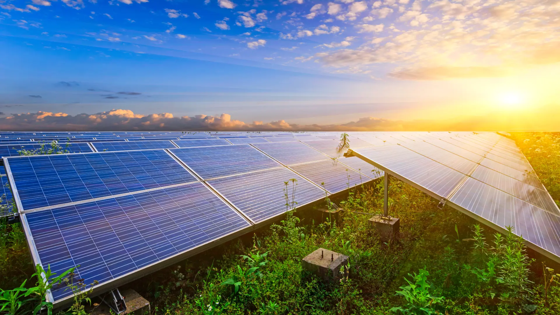 Hacia un futuro donde la energía fotovoltaica y el almacenamiento van de la mano